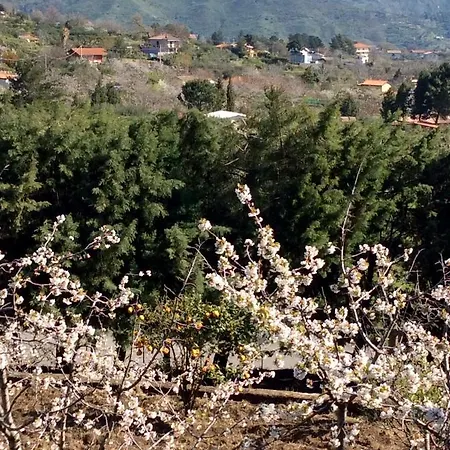 Donna Santa Bed & Breakfast Piedimonte Etneo